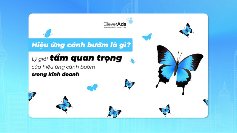 Hiệu ứng cánh bướm là gì? Lý giải tầm quan trọng của hiệu ứng cánh bướm trong kinh doanh