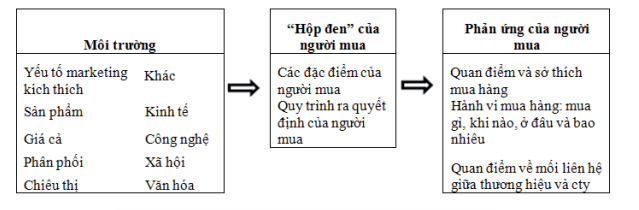 hành vi người tiêu dùng