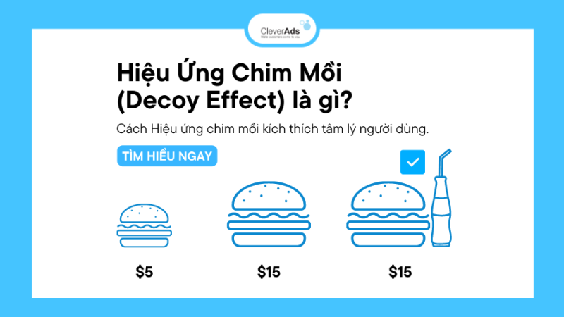 Hiệu ứng chim mồi (Decoy Effect) là gì?