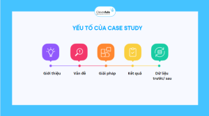 yếu tố của Case study