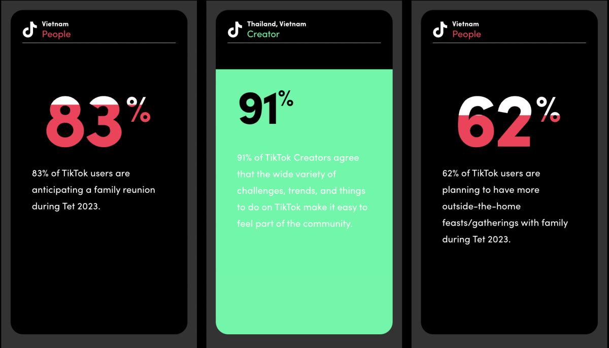 TikTok Insights