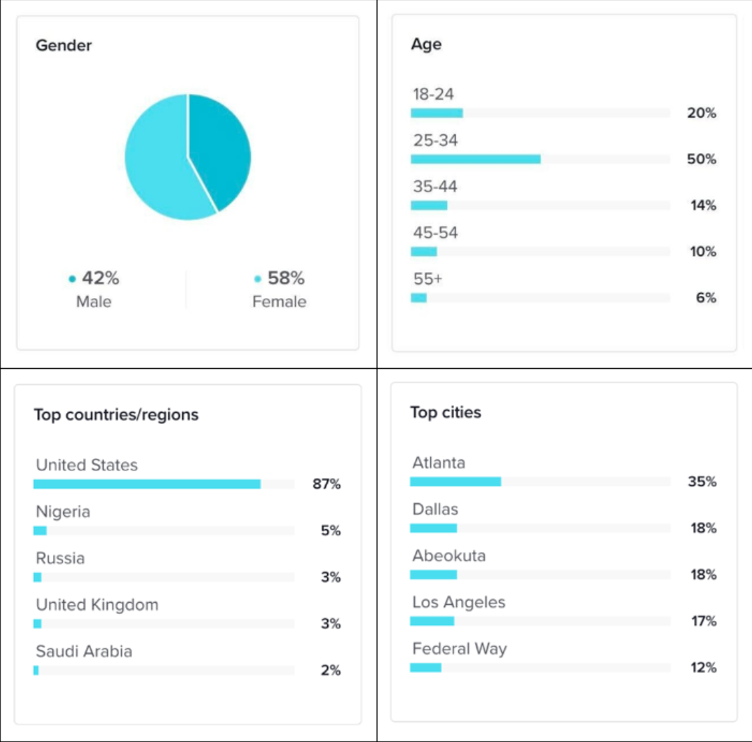 TikTok Analytics Tool