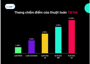 Thang chấm điểm của thuật toán TikTok 2023