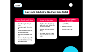 Yếu tố ảnh hưởng trực tiếp đến thuật toán TikTok 2023