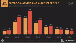 facebook audience insight