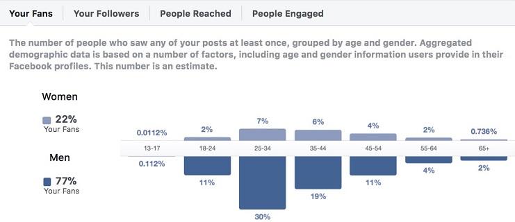 Facebook Insights View