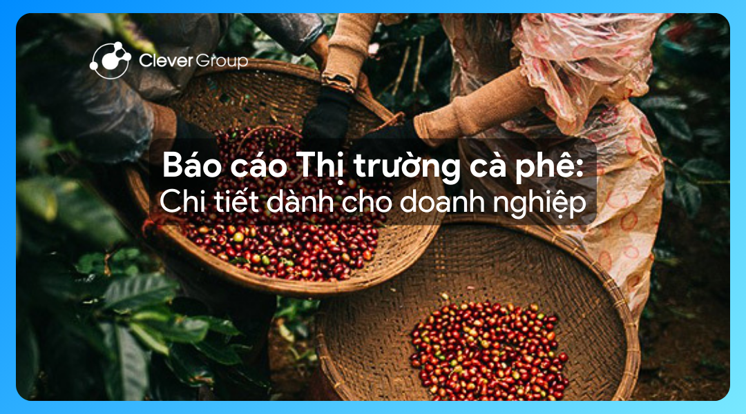 Báo cáo thị trường cà phê 2024: Chi tiết dành cho doanh nghiệp