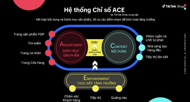 Hệ thống Chỉ số ACE - TikTok